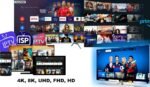 IPTV Smarter Pro 1 Year