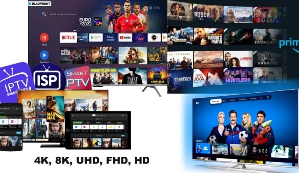 IPTV Smarter Pro 1 Year